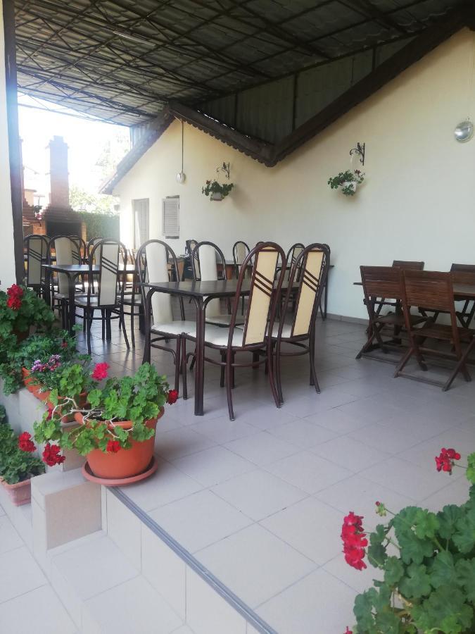 Villa Pescarus Costinesti Ngoại thất bức ảnh
